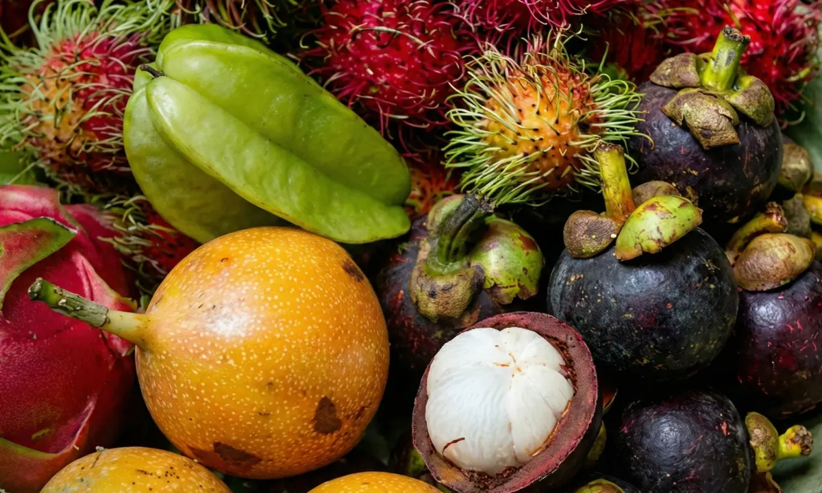 Caribbean Fruit Finder