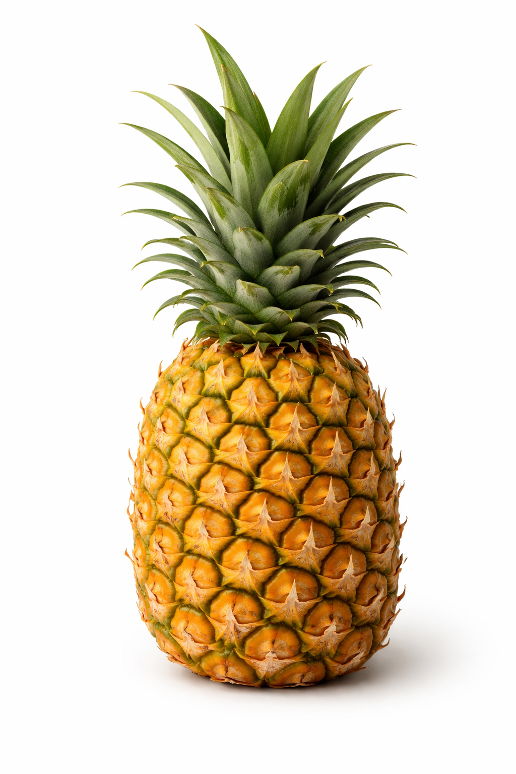 Fresh Pineapple tropical fruit – IslandFruitGuide